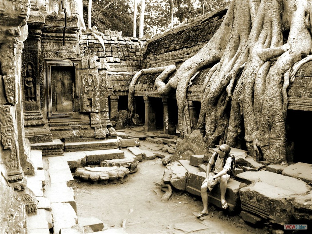 Angkor - Nature is coming back into TA PROHM